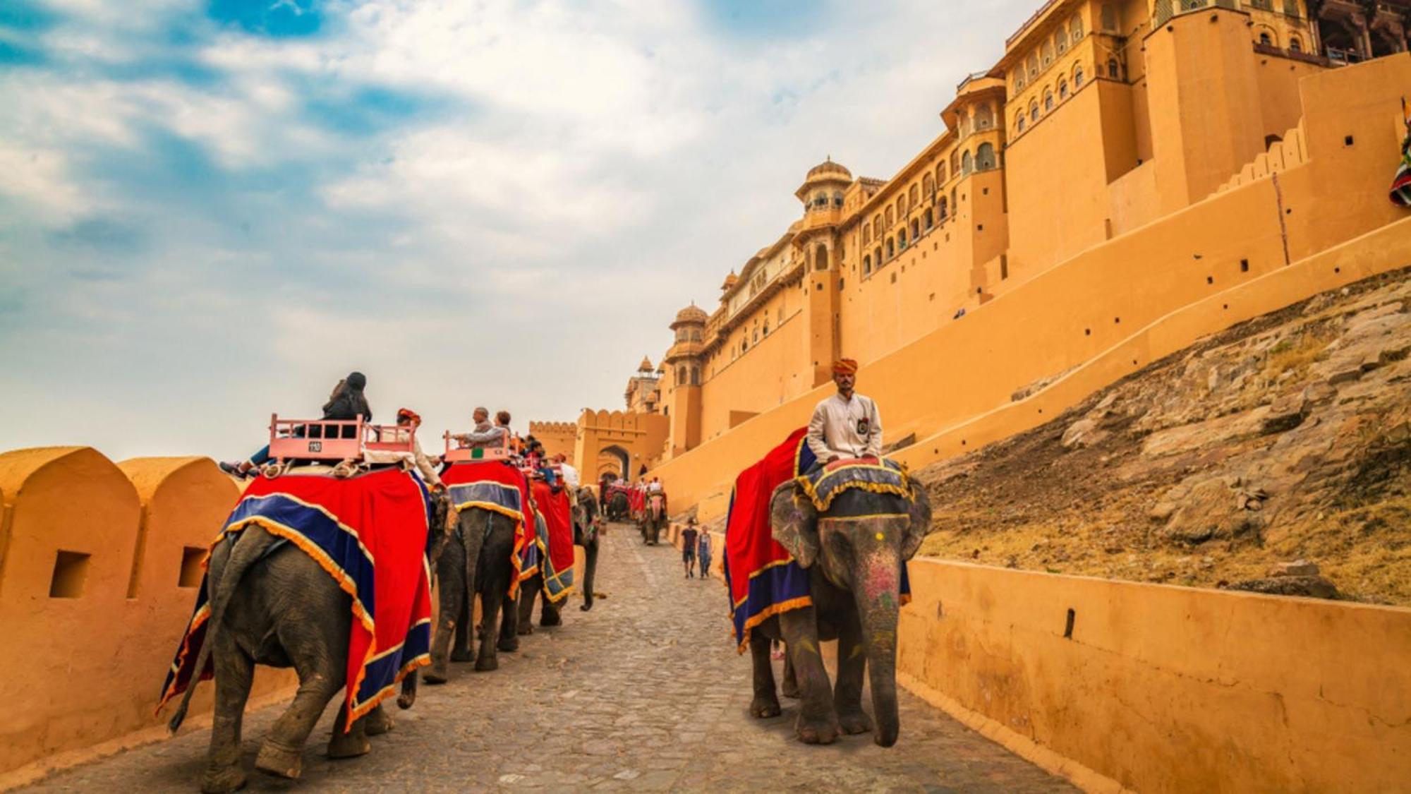 Holiday Inn Jaipur City Centre By Ihg Exterior photo Elephants at Jaipur